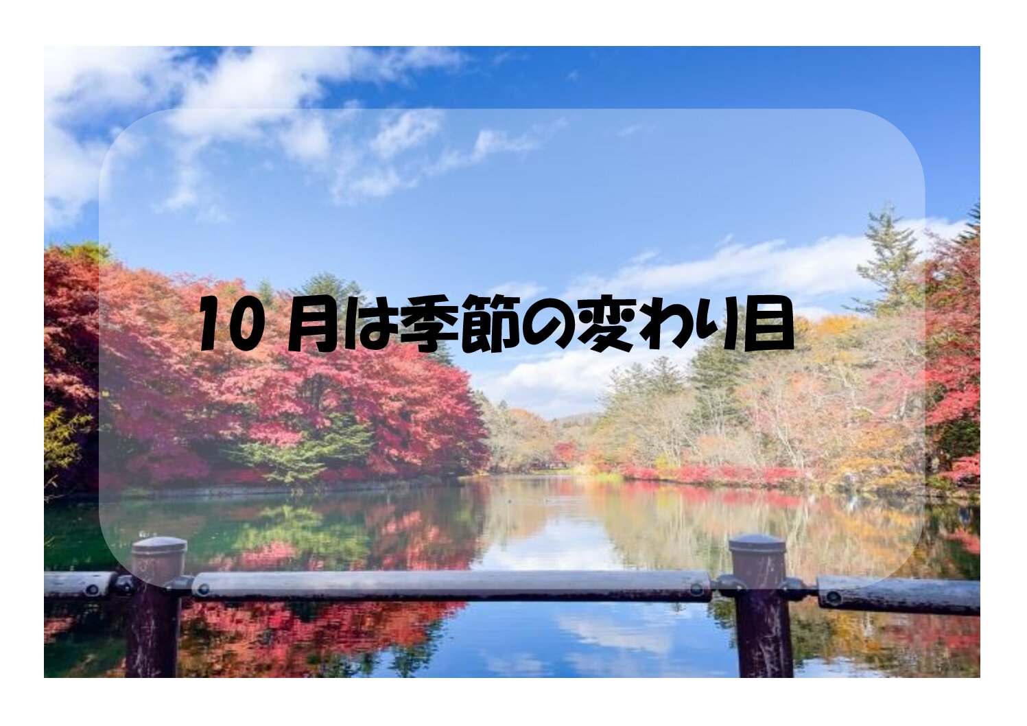 健康コラム